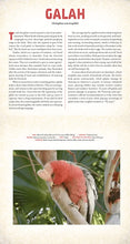 Load image into Gallery viewer, Outback: The Amazing Animals of Australia: A Photicular Book