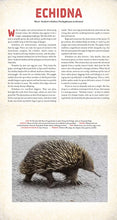 Load image into Gallery viewer, Outback: The Amazing Animals of Australia: A Photicular Book