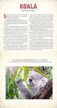 Load image into Gallery viewer, Outback: The Amazing Animals of Australia: A Photicular Book