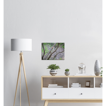 Load image into Gallery viewer, Canvas | Africa (Botswana) - Hornbill