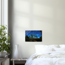 Load image into Gallery viewer, Acrylic Print | Under The Moonlight