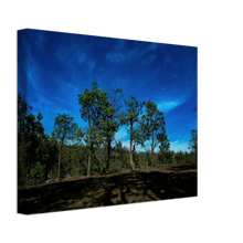 Load image into Gallery viewer, Canvas | Under The Moonlight