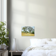 Load image into Gallery viewer, Canvas | Africa (Botswana) - Baobabs