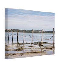 Load image into Gallery viewer, Canvas | South Australia - Birds On A Wire