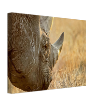 Load image into Gallery viewer, Canvas | Africa (Botswana) - Rhino (Late Afternoon Graze)