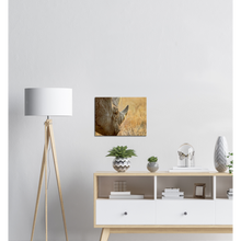 Load image into Gallery viewer, Canvas | Africa (Botswana) - Rhino (Late Afternoon Graze)