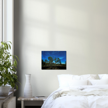 Load image into Gallery viewer, Canvas | Under The Moonlight