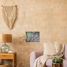 Load image into Gallery viewer, Canvas | Africa (Botswana) - Hornbill