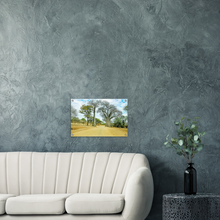 Load image into Gallery viewer, Acrylic Print | Africa (Botswana) - Baobabs