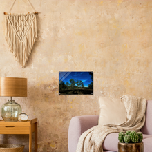Load image into Gallery viewer, Acrylic Print | Under The Moonlight