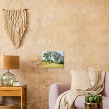Load image into Gallery viewer, Canvas | Africa (Botswana) - Baobabs