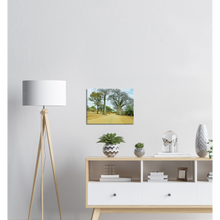 Load image into Gallery viewer, Canvas | Africa (Botswana) - Baobabs