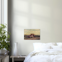 Load image into Gallery viewer, Acrylic Print | South Australia - Alone In The Outback