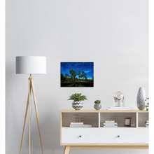 Load image into Gallery viewer, Canvas | Under The Moonlight