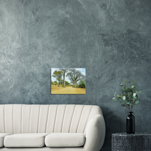 Load image into Gallery viewer, Canvas | Africa (Botswana) - Baobabs