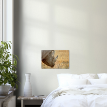 Load image into Gallery viewer, Acrylic Print | Africa (Botswana) - Rhino (Late Afternoon Graze)