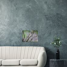 Load image into Gallery viewer, Canvas | Africa (Botswana) - Hornbill