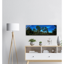 Load image into Gallery viewer, Acrylic Print | Under The Moonlight