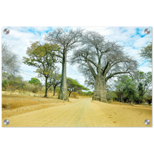 Load image into Gallery viewer, Acrylic Print | Africa (Botswana) - Baobabs