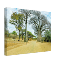 Load image into Gallery viewer, Canvas | Africa (Botswana) - Baobabs