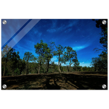Load image into Gallery viewer, Acrylic Print | Under The Moonlight