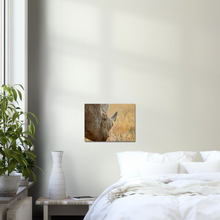 Load image into Gallery viewer, Canvas | Africa (Botswana) - Rhino (Late Afternoon Graze)