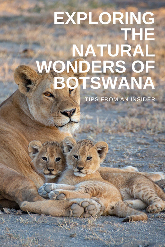 Exploring the Natural Wonders of Botswana -  An Insider's Guide for Travel Seekers