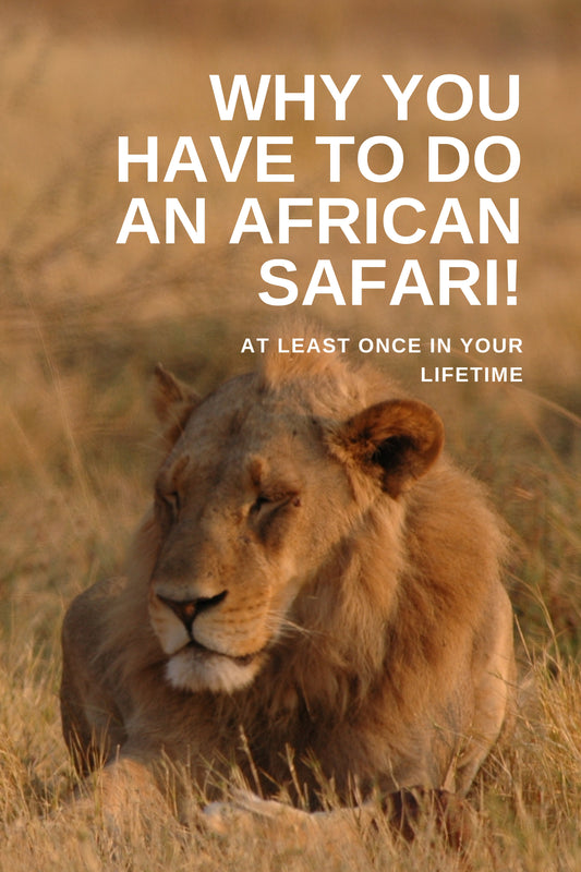 You Have To Tour Southern African At Least Once In Your Lifetime!