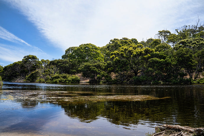 Best Campsites | Kangaroo Island