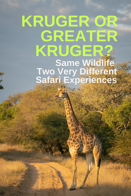 Kruger or Greater Kruger? Same Wildlife, Two Very Different Safari Experiences
