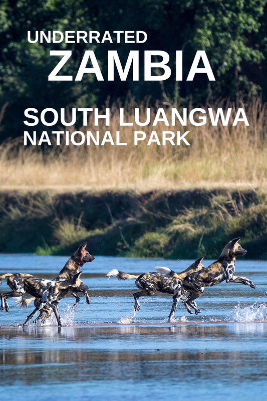 Underrated Zambia's  South Luangwa National Park