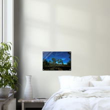 Load image into Gallery viewer, Acrylic Print | Under The Moonlight
